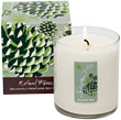 Roland Pine Pure Soy Candles
